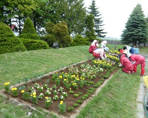 お花植え