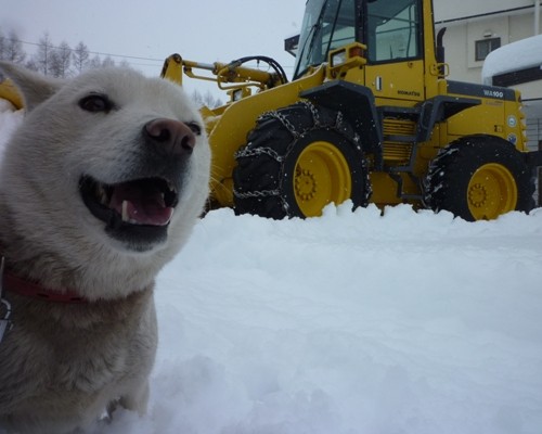 除雪、