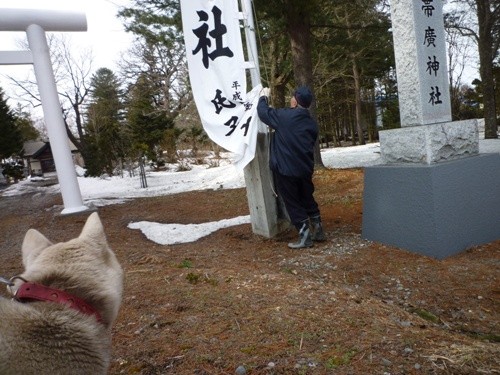 明日、4月10日はどんぐりフィールドの神社の春祭り。