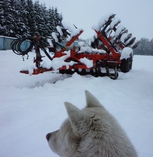 雪です。