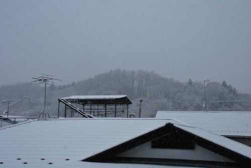 また雪が