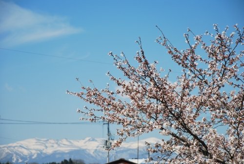 ついに