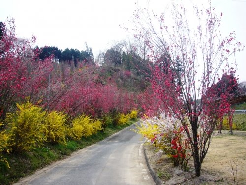 花屋敷公園