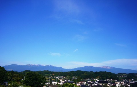 今朝の風景