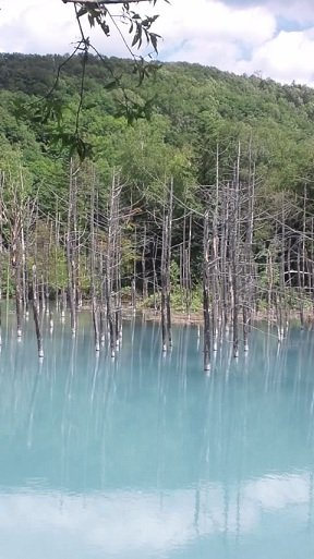 アルカリ電解水ってすごい