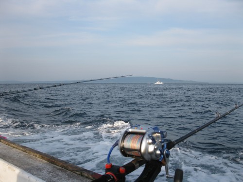 網走沖の船釣り大会