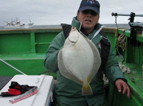 大型真カレイ釣り