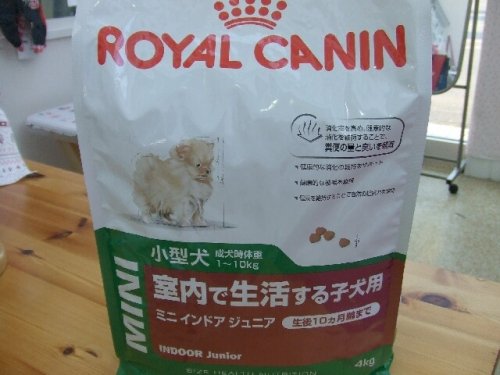 ドッグフード　ＲＯＹＡＬ　ＣＡＮＩＮ（ロイヤルカナン）