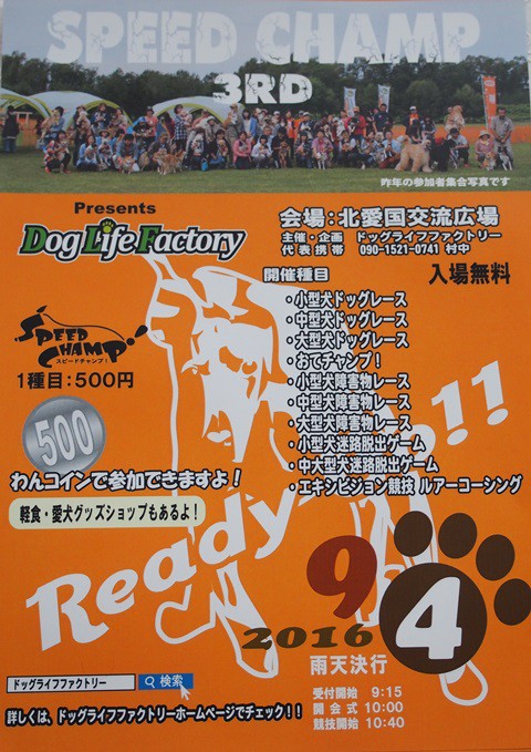 犬　イベント　第3回　スピードチャンプ