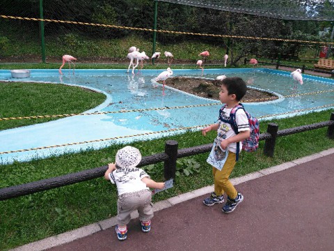 帯広動物園