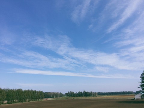 社内検査に行ってきました(^^♪