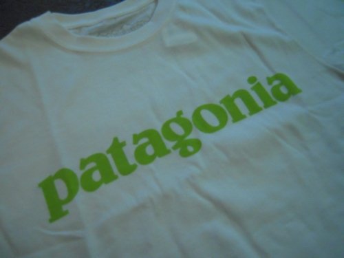 ひとことで最高のストーリーを。Patagonia Men's Text Logo T-Shirt