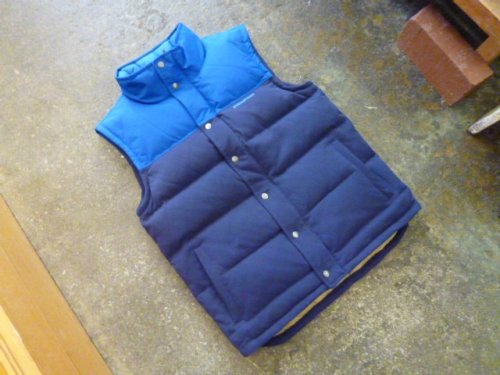 Patagonia Men's Bivy Down Vest