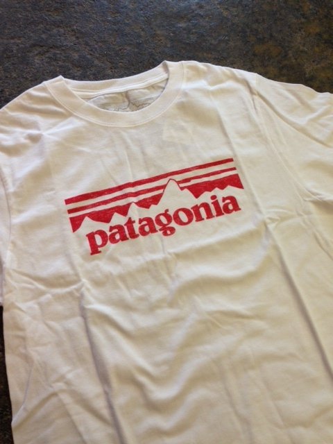 Patagonia Men's Stamp Logo T-Shirt