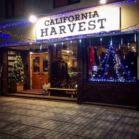 HARVESTもクリスマス仕様