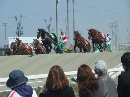 ばんえい十勝開幕！！　本日、晴天なり