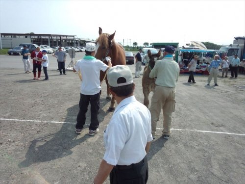 十勝総合畜産共進会