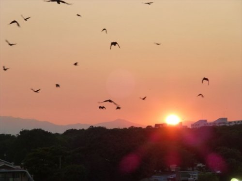 西の空