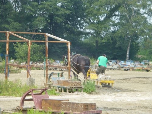 帯広競馬場の日常