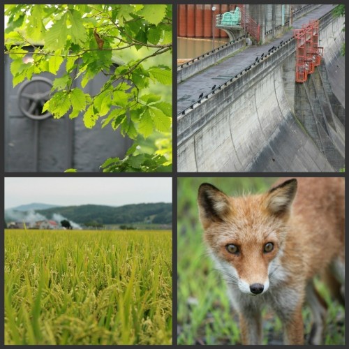 趣味なら、本気で。