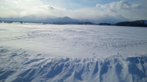 地吹雪