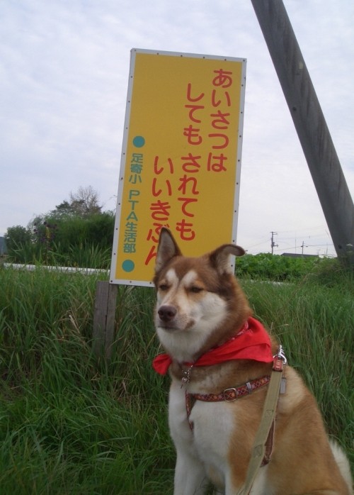 「あいさつはしてもされてもいいきぶん」・・・そのとうり！・・・ｂｙハナ