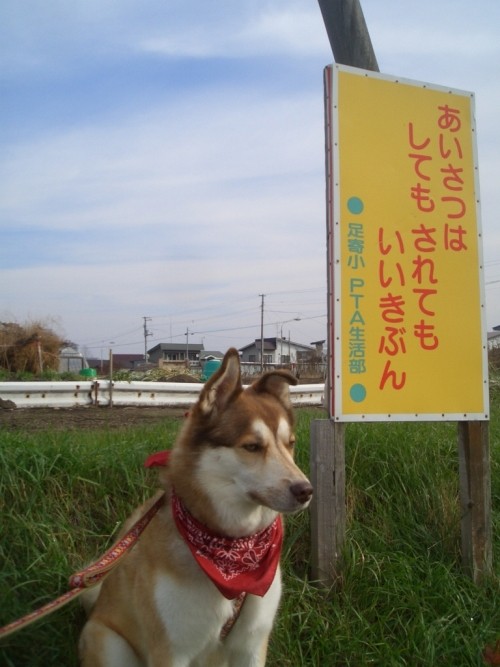 お休み１日目～