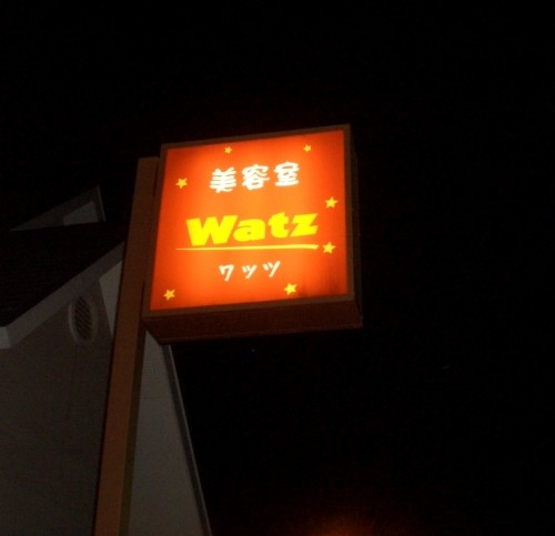 今日はちょっときれいな髪の毛に・・・5歳くらい若くなったよ～多分・・・