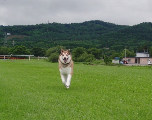 久しぶりのヒャッホ～気持ちよかったよ！・・・お友達とちび君