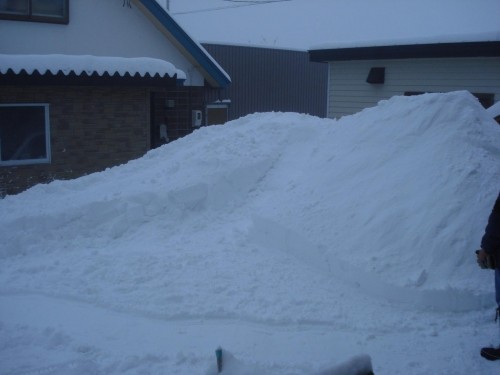 雪にめぐまれ・・・順調です♪