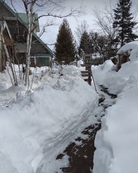 除雪