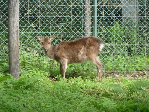 まさかの訃報