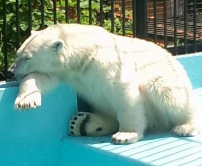 ひっさびさの動物園・・１