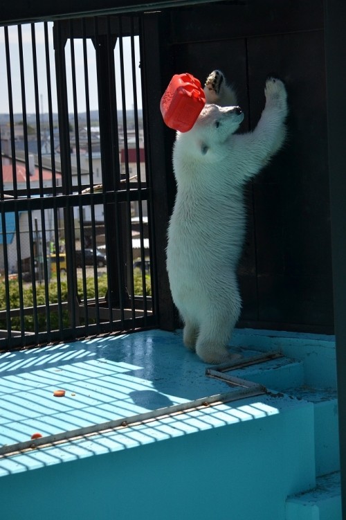 祝　開通～（＾０＾）やたっ！