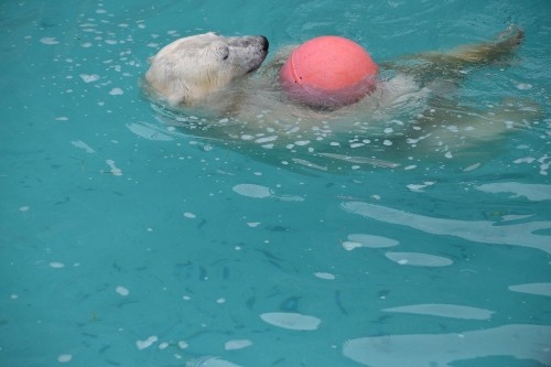 浮き＆ガス管遊び