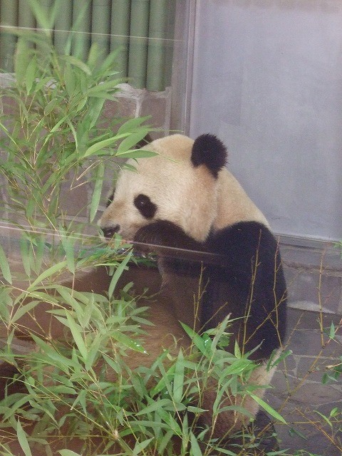 コウコウが天国に。。。