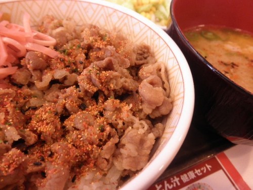 すき家の牛丼　　　　　　　　　