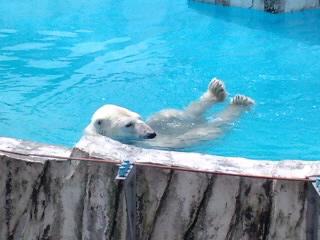 ララお母さんおめでとう！！