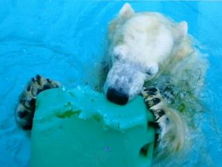 10/2・浜松市動物園*旅最終日正午過ぎまでのキロル