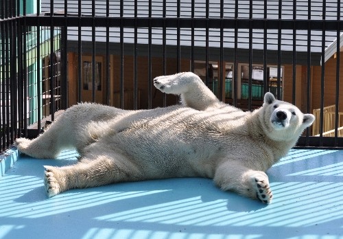 １０月２日～ゴハン前後