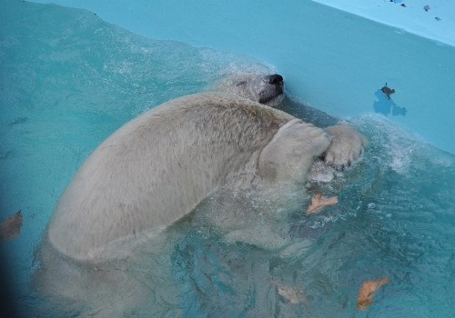 １１月２日～ちょっとまったり？