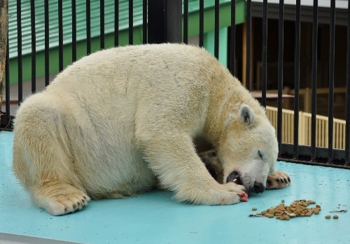 １２月４日～まだまだ食べます！