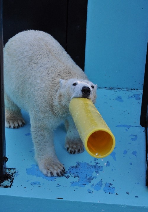 １２月５日～お互いが気になって…続き