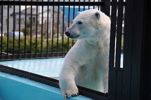 ４月３０日～おびひろ動物園・イコロ～１４時前から閉園まで