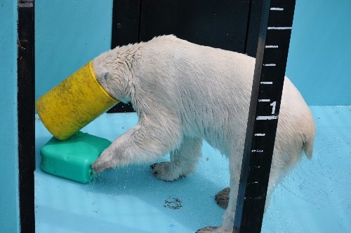 ６月２７日～おびひろ動物園・イコロ～１２時台から１５時まで