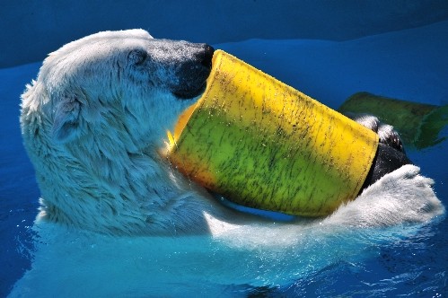 ６月２６日～おびひろ動物園・イコロ～１２時過ぎから１３時まで