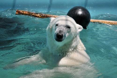 ６月２５日～おびひろ動物園・イコロ～１１時過ぎから１２時台