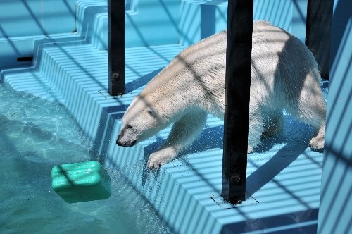 ６月２５日～おびひろ動物園・イコロ～１４時から１５時過ぎ