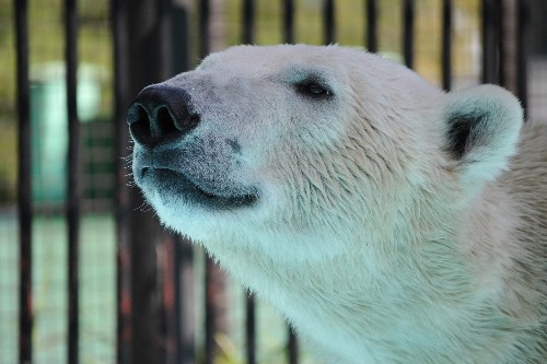 ８月２８日～おびひろ動物園・イコロ～１１時から１２時過ぎまで