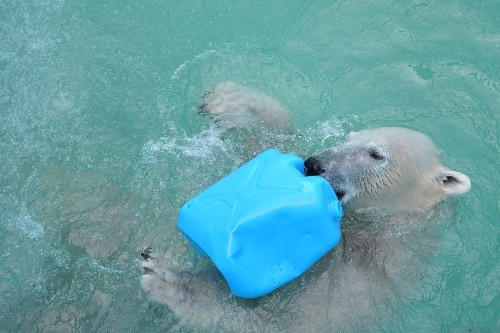 ８月２８日～おびひろ動物園・イコロ～１４時から１５時半